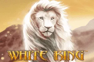 White King - SPONSOR777