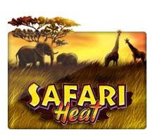 Joker123 : Safari Heat - SPONSOR777
