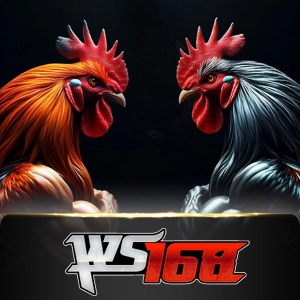 Ws168 Sabung - SPONSOR777