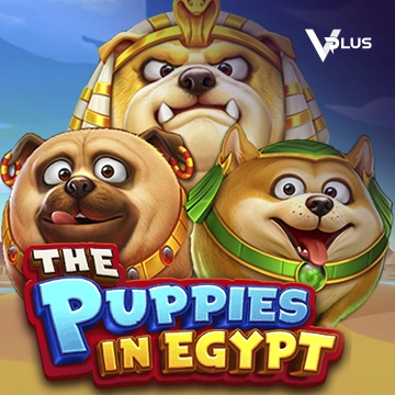 The Puppies In Egypt - SPONSOR777