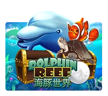 Joker123 : Dolphin Reef - SPONSOR777