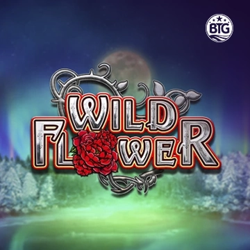 Bigtime : Wild Flower - SPONSOR777