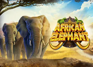 Pragmatic : African Elephant - SPONSOR777